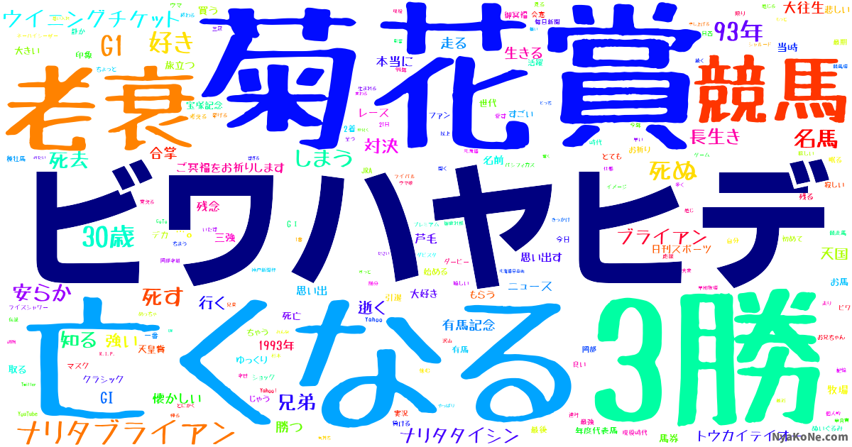 ビワハヤヒデ の感情分析 Nyakone