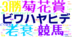 ビワハヤヒデ の感情分析 Nyakone