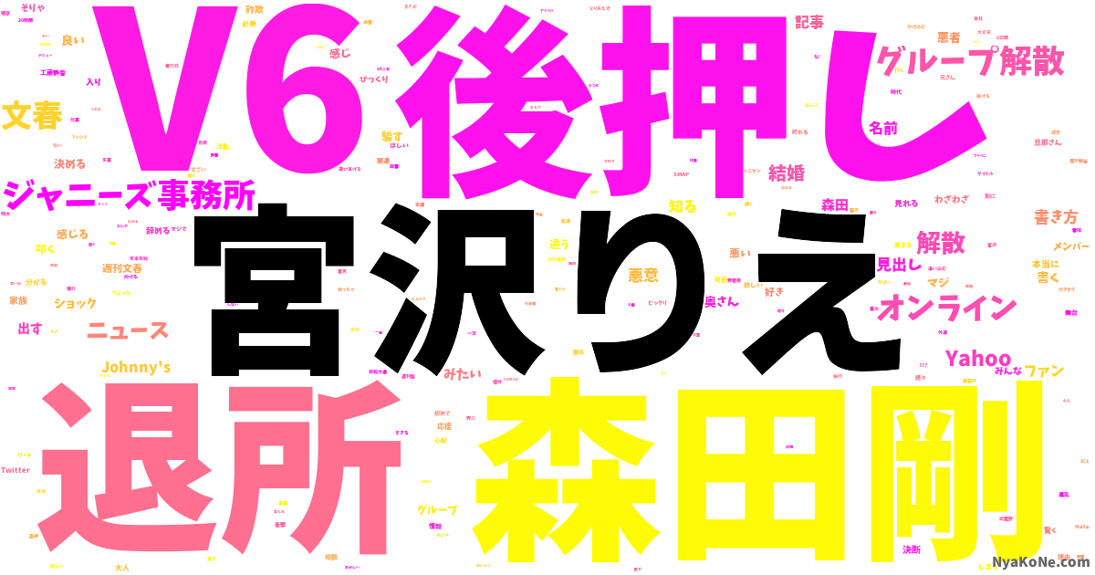 宮沢りえ の感情分析 Nyakone
