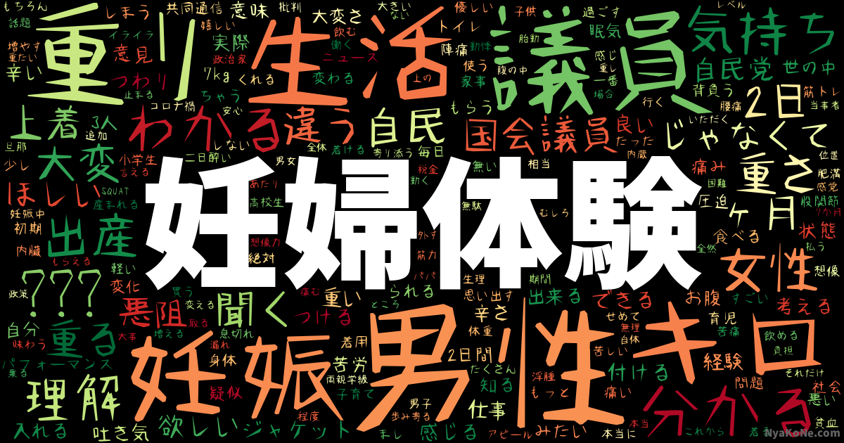 妊婦体験 の感情分析 Nyakone