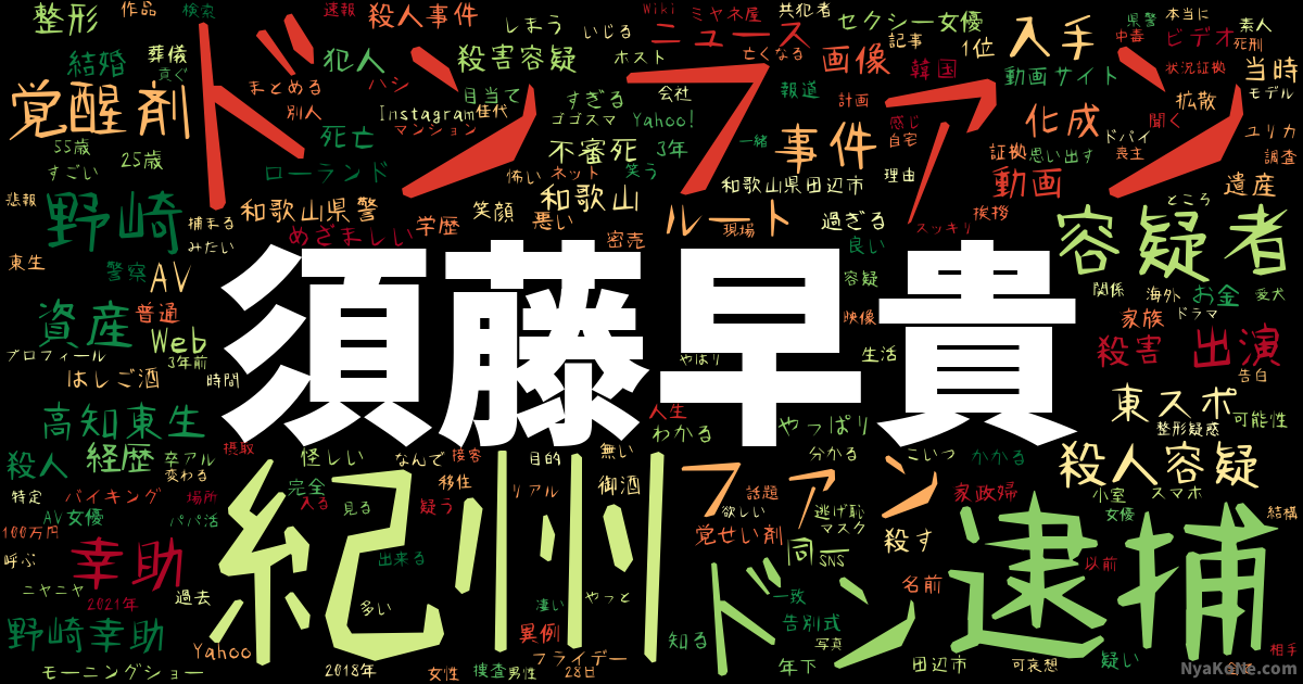 須藤早貴 の感情分析 Nyakone