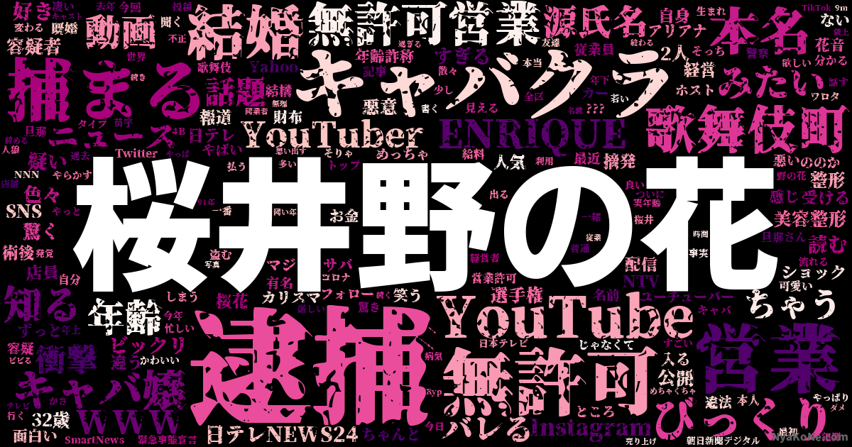 桜井野の花 の感情分析 Nyakone