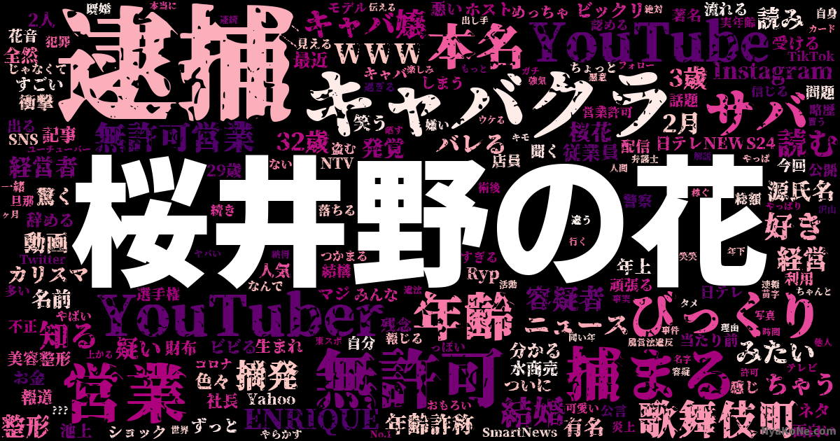 桜井野の花 の感情分析 Nyakone